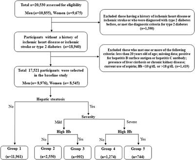 Longitudinal Effect of Hemoglobin Concentration With Incident Ischemic Heart Disease According to Hepatic Steatosis Status Among Koreans